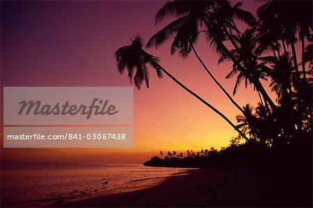 Palm trees on Alona Beach silhouetted at sunset on the island of Panglao, off the coast of Bohol, the Philippines, Southeast Asia, Asia