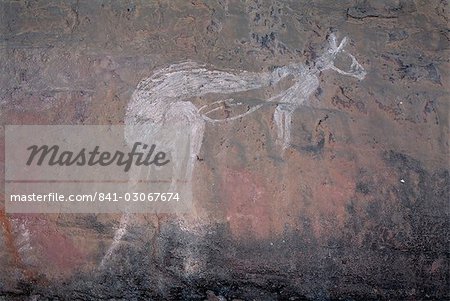 Peinture d'un kangourou à Nourlangie Rock, l'établissement autochtone sacré et site d'art rupestre dans le nord-est de Kakadu National Park, patrimoine mondial de l'UNESCO, Northern Territory, Australie, Pacifique