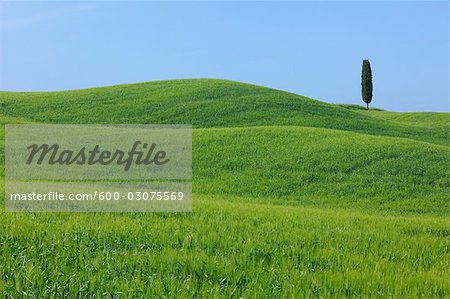 Pienza, Siena Province, Val d'Orcia, Tuscany, Italy