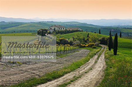 San Quirico d'Orcia, Val d'Orcia, Province of Siena, Tuscany, Italy