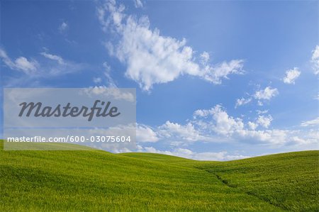 Val d'Orcia, Toscane, Italie