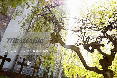 St Mary's Church, Bergen, Norway