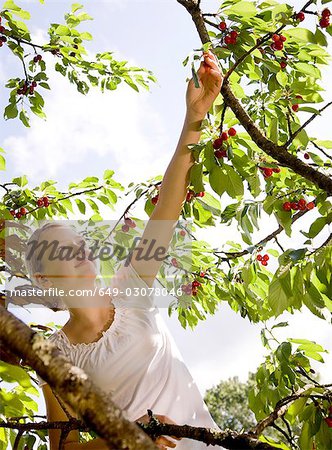 girl picking cherries on tree