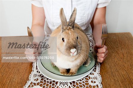 Lapin assis sur une plaque