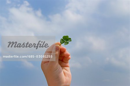 Hand of a girl holding four-leaf clover