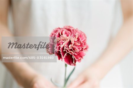 Woman holding carnation flower