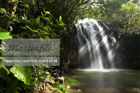 Waterfall, Queensland, Australia