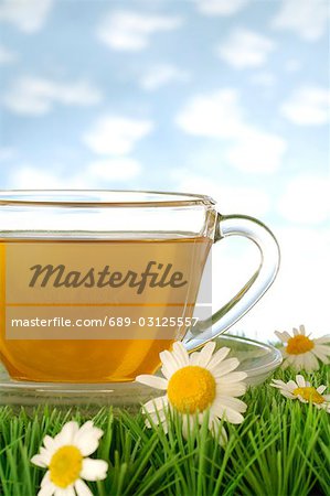 Camomile tea with blossoms in the grass