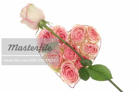 Rose lying on heart shaped box