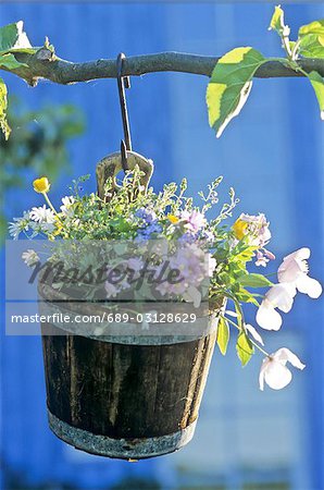 Flowers in a hanging wooden bucket