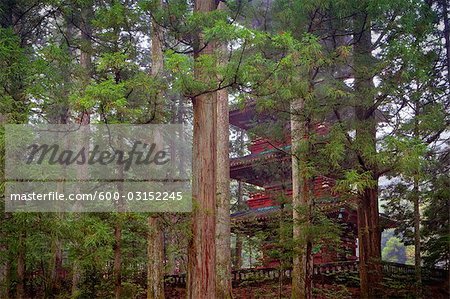 Pagode en forêt, Nikko Toshogu Shrine, Nikko, Japan