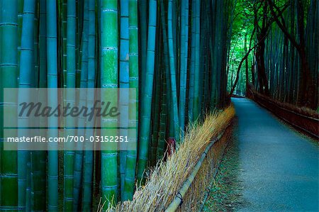 Bambus gesäumten Weg in der Dämmerung, Kyoto, Japan