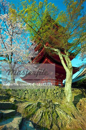 Cinq pagode et cerisiers en fleurs, île de Miyajima, Japon