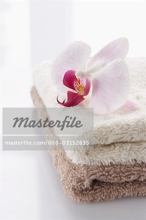 Orchidée et serviettes