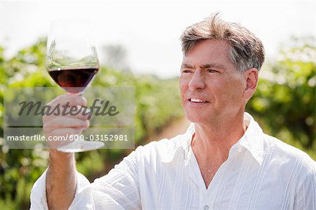 Portrait of Man in Vineyard Examining a Glass of Wine