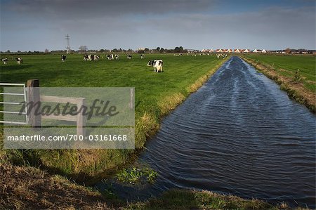 Farmland, Staphorst, Salland, Overijssel, Netherlands