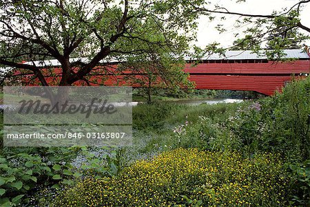 DREIBELBIS STATION COVERED BRIDGE IN SPRINGTIME CONSTRUIT 1869 PRÈS LENHARTSVILLE PENNSYLVANIE USA