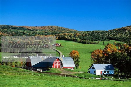 BAUERNHOF S. ALBANY (VERMONT)