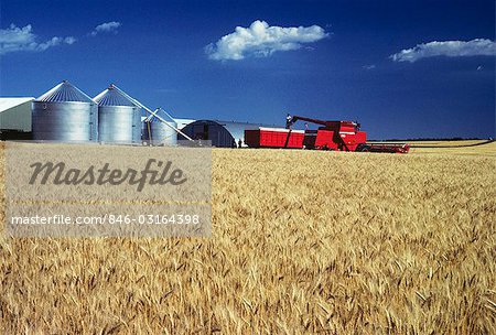 SILVER FARM SILOS AND RED MACHINERY IN NEBRASKA WHEAT FIELD