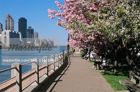 NEW YORK, NY VIEW OF MANHATTAN SKYLINE FROM ROOSEVELT ISLAND IN SPRING