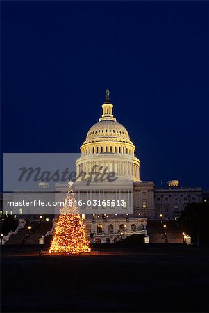 CAPITOLE DE WASHINGTON DC ET ARBRE DE NOËL NATIONAL NUIT