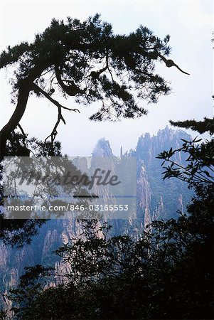 HUANGSHAN YELLOW MOUNTAIN PROVINCE DE L'ANHUI CHINE