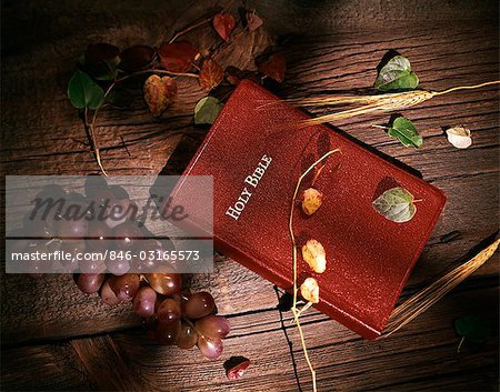 STILL LIFE OF RED HOLY BIBLE ON WOODEN BACKGROUND WITH GRAPES & WHEAT SHADOW OF CROSS