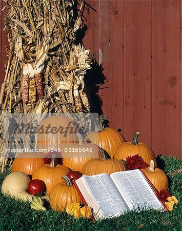 DRIED CORN SHOCK STACKED AGAINST RED BARN WITH HARVEST PUMPKINS AND AN OPEN BIBLE