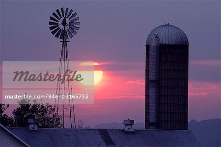 AMISH FARM AT SUNRISE WITH WINDMILLS AND SILO, LANCASTER COUNTY PENNSYLVANIA