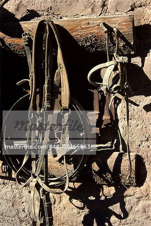OLD LEATHER HORSE TACK BRIDLE & REINS HANGING ON WALL ARIZONA