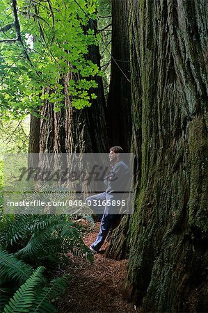 SINGLE MAN ALONE LEANING AGAINST TREE REDWOOD NATIONAL PARK FOREST SOLITUDE CALIFORNIA NATURE INSPIRATIONAL