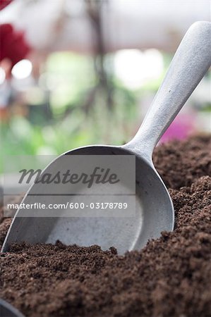 Close-up of Spade in Soil