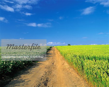 Sentier de pays