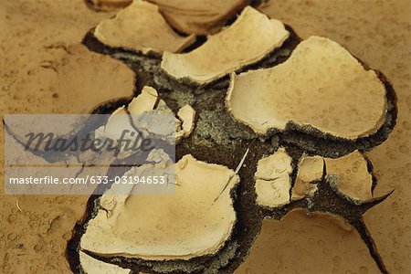 Cracking hardpan, close-up of dry ground