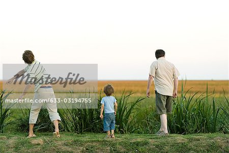 Little boy with father and grandfather walking in field