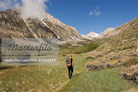 Man Backpacking, Horton Lake Trail, Inyo National Forest, California, USA
