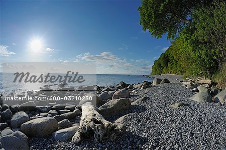 Parc National de Jasmund, l'île de Rügen, Rügen, Mecklembourg, Mecklembourg-Poméranie-occidentale, Allemagne