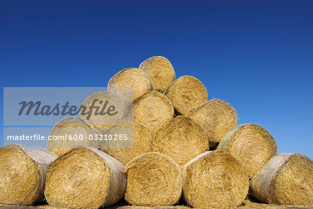 Bales of Hay, Ruegen, Ruegen District, Mecklenburg, Mecklenburg-Vorpommern, Germany