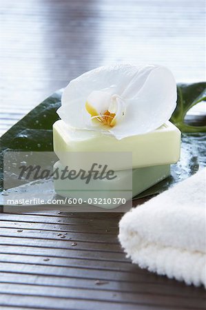 Orchid und Soap