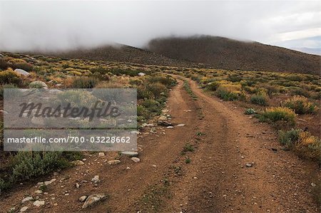 Dirt Road, Inyo National Forest, Bishop, Inyo County, California, USA