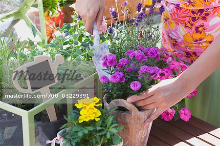 Woman Gardening