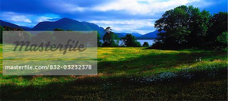 Muckross Lake, Killarney National Park, Co Kerry, Ireland