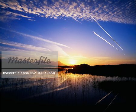 Bog Lake, Connemara, County Galway, Ireland; Airplane contrails against marsh at sunset near Clifden