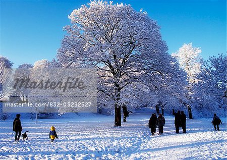 Scène d'hiver à Ormeau Park, Belfast, Irlande