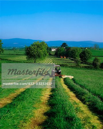 Cutting Silage, Golden Vale, Mitchelstown, Co Tipperary, Ireland