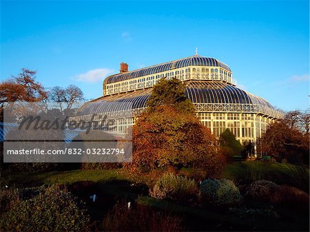 Große Palm House, National Botanic Gardens in Dublin, Irland