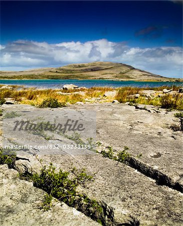 Mullaghmore, Burren, County Clare, Irland; Kalkstein-Landschaft