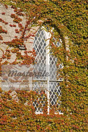 Enniseag church, County Kilkenny, Ireland; Architectural detail of church window