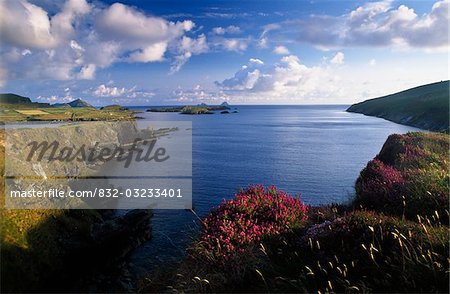 Foihomurrin Bay, île de Valentia, comté de Kerry, Irlande