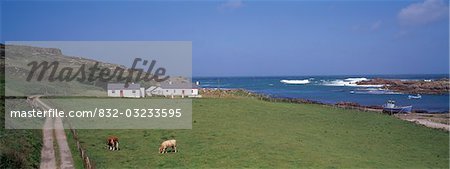 Inishowen Peninsula,Co Donegal,Ireland;Houses on the coast
